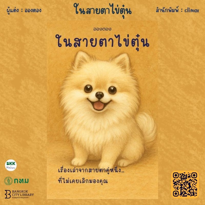 ในสายตาไข่ตุ๋น