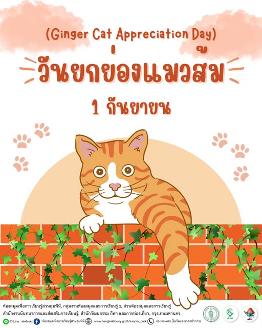 วันยกย่องแมวส้ม
