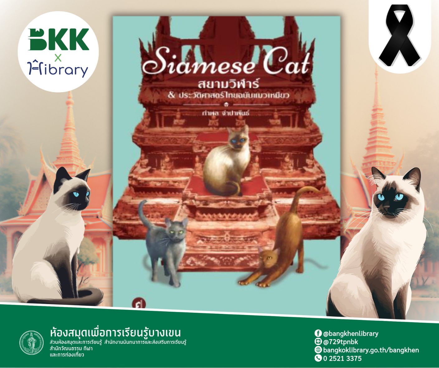  Siamese Cat สยามวิฬาร์ & ประวัติศาสตร์ไทยฉบับแมวเหมียว