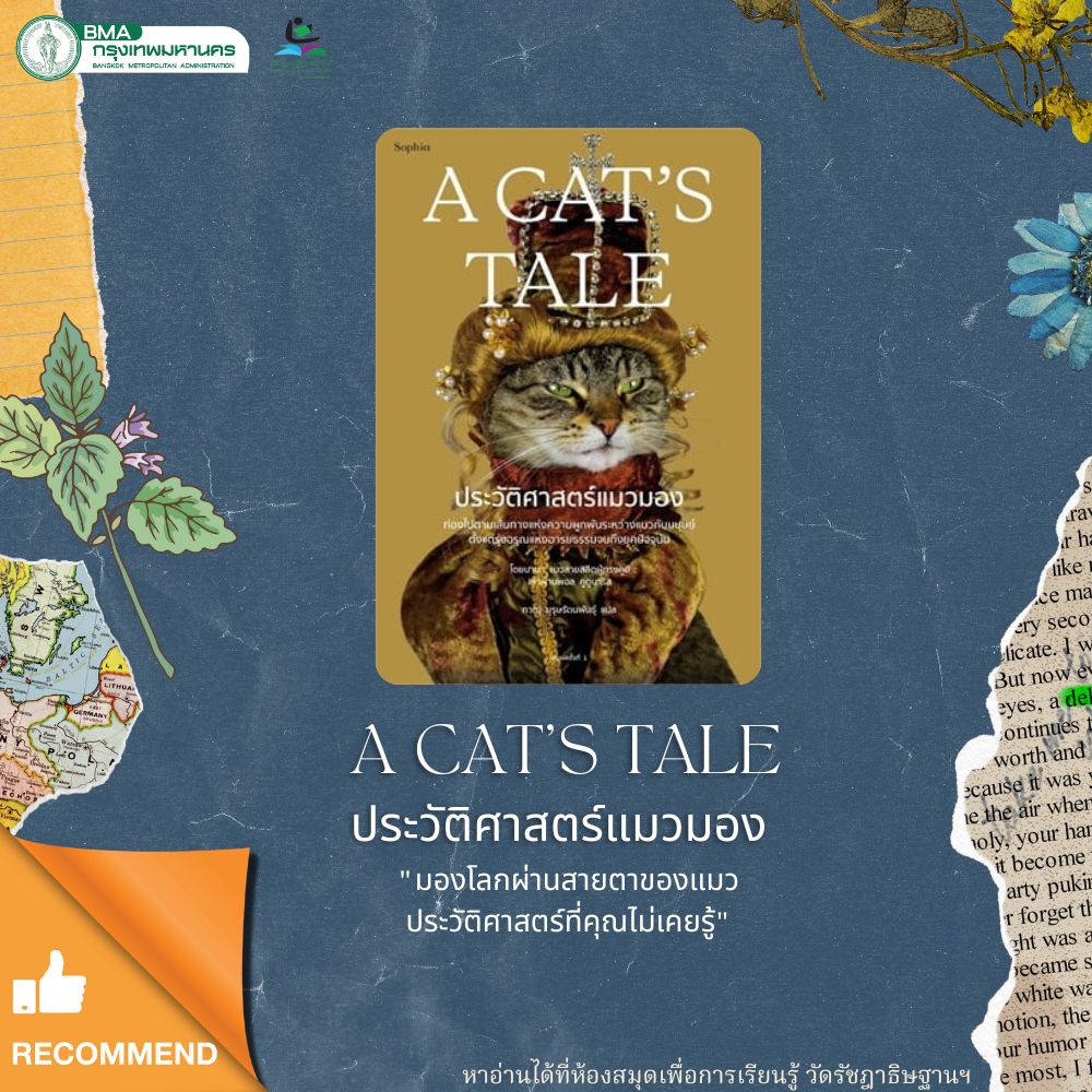 A CAT'S TALE ประวัติศาสตร์แมวมอง