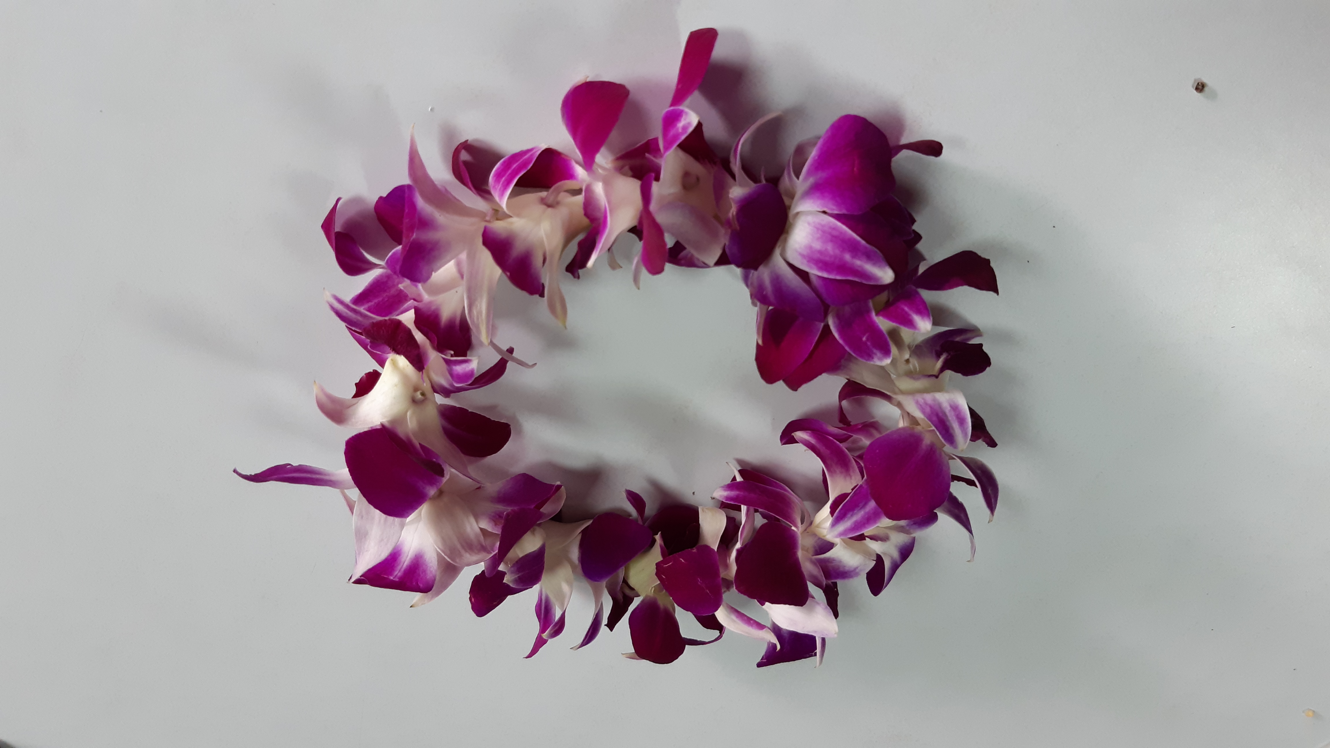 กิจกรรมมาลัยดอกไม้