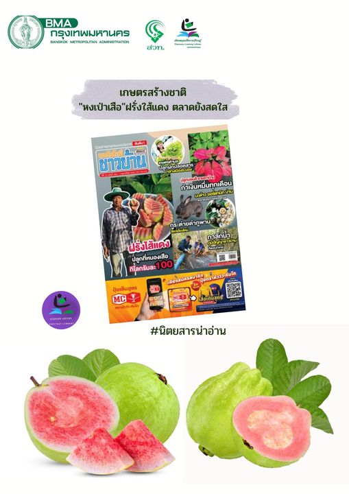 นิตยสาร เทคโนโลยีชาวบ้าน ฉบับที่ 784 ประจำเดือน กุมภาพันธ์ 2566