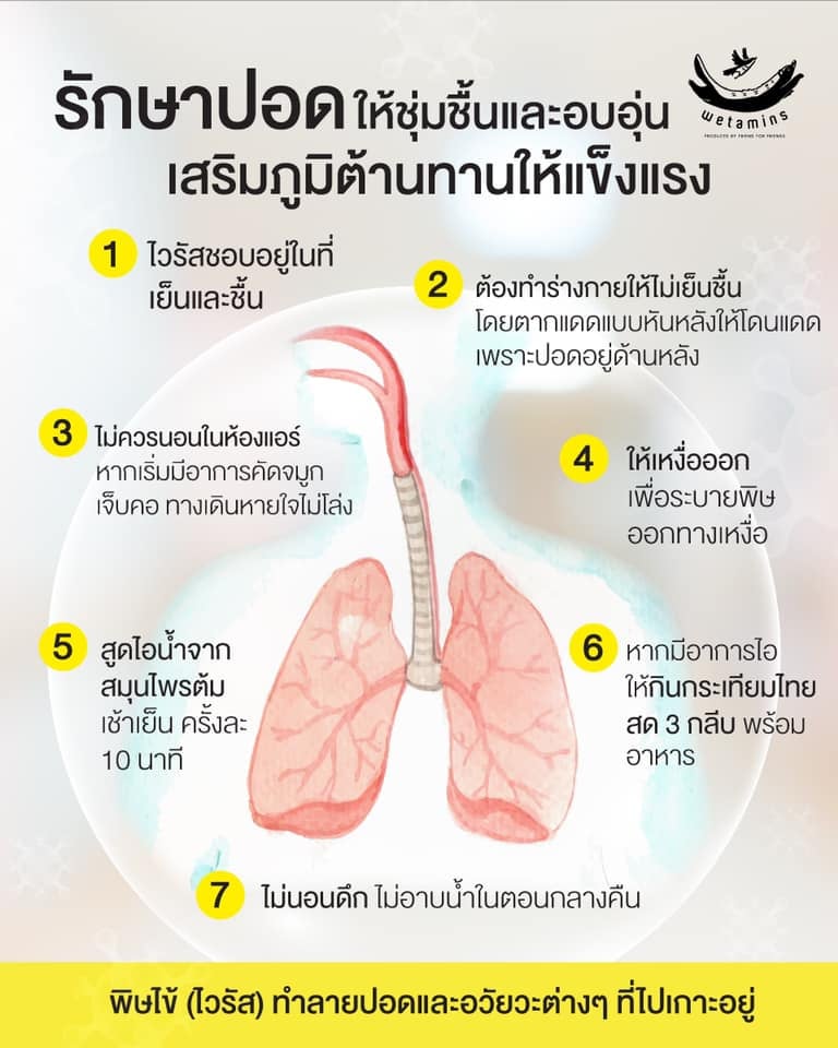 รักษาปอดให้ชุ่มชื้นและอบอุ่น เสริมภูมิต้านทานให้แข็งแรง