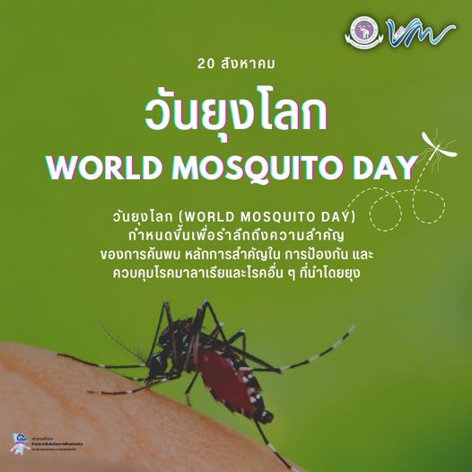 วันยุงโลก (World Mosquito Day)