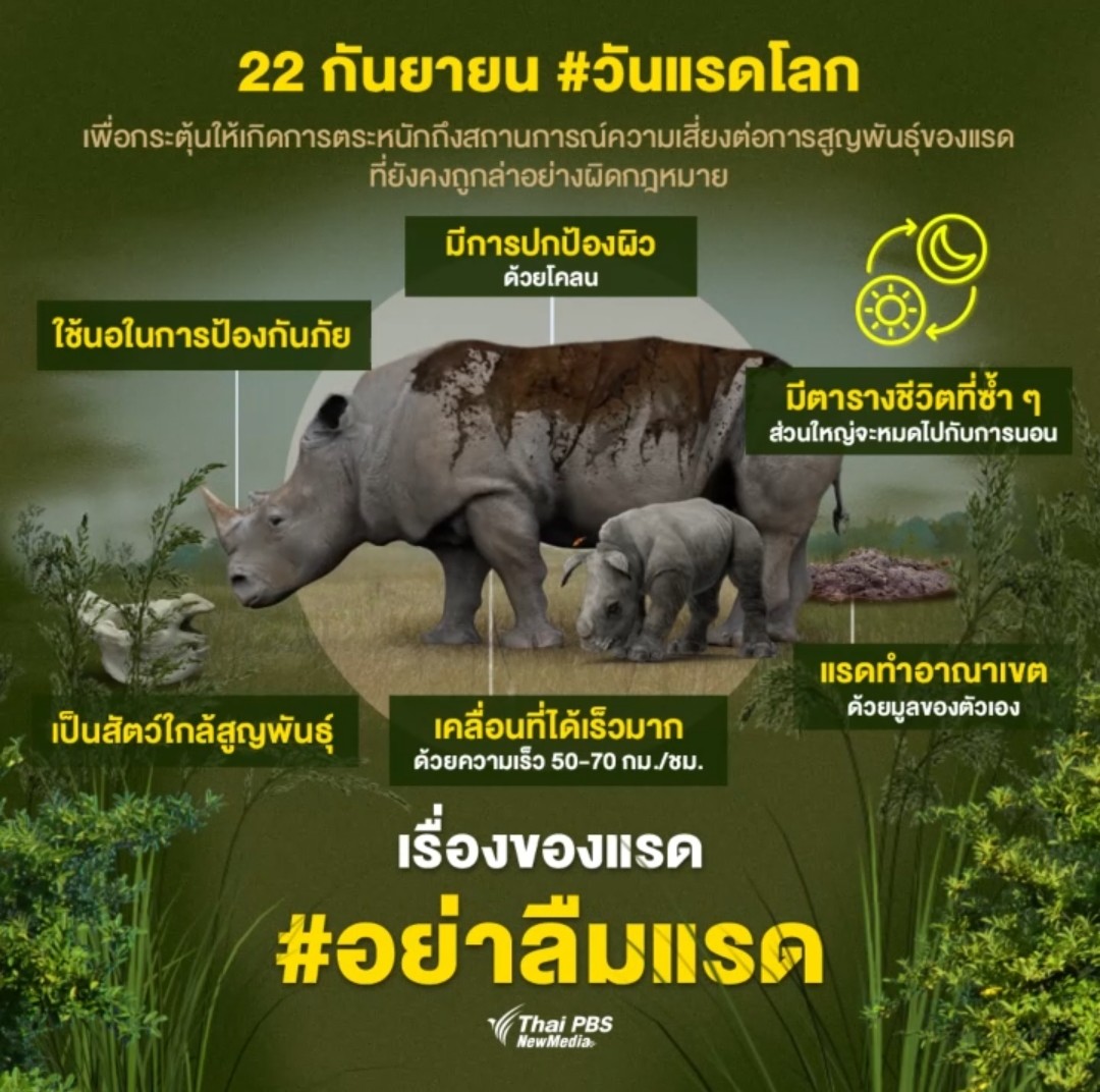 22 กันยายน วันอนุรักษ์แรดโลก