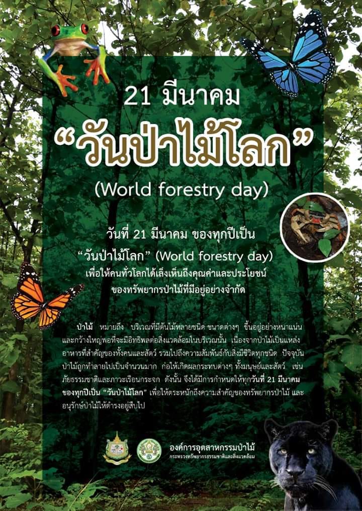 #วันป่าไม้โลก World Forestry Day #21 มีนาคม 21 มีนาคมของทุกปี ถูกกำหนดให้เป็น วันป่าไม้โลก World Forestry Day วันป่าไม้โลกได้มีการเฉลิมฉลองกันต่อเนื่องเป็นเวลามากว่า 30 ปี โดยมีวัตถุประสงค์เพื่อกระตุ้นให้ประชาคมโลกได้เห็นถึงความสำคัญของทรัพยากรป่าไม้ตลอดจ