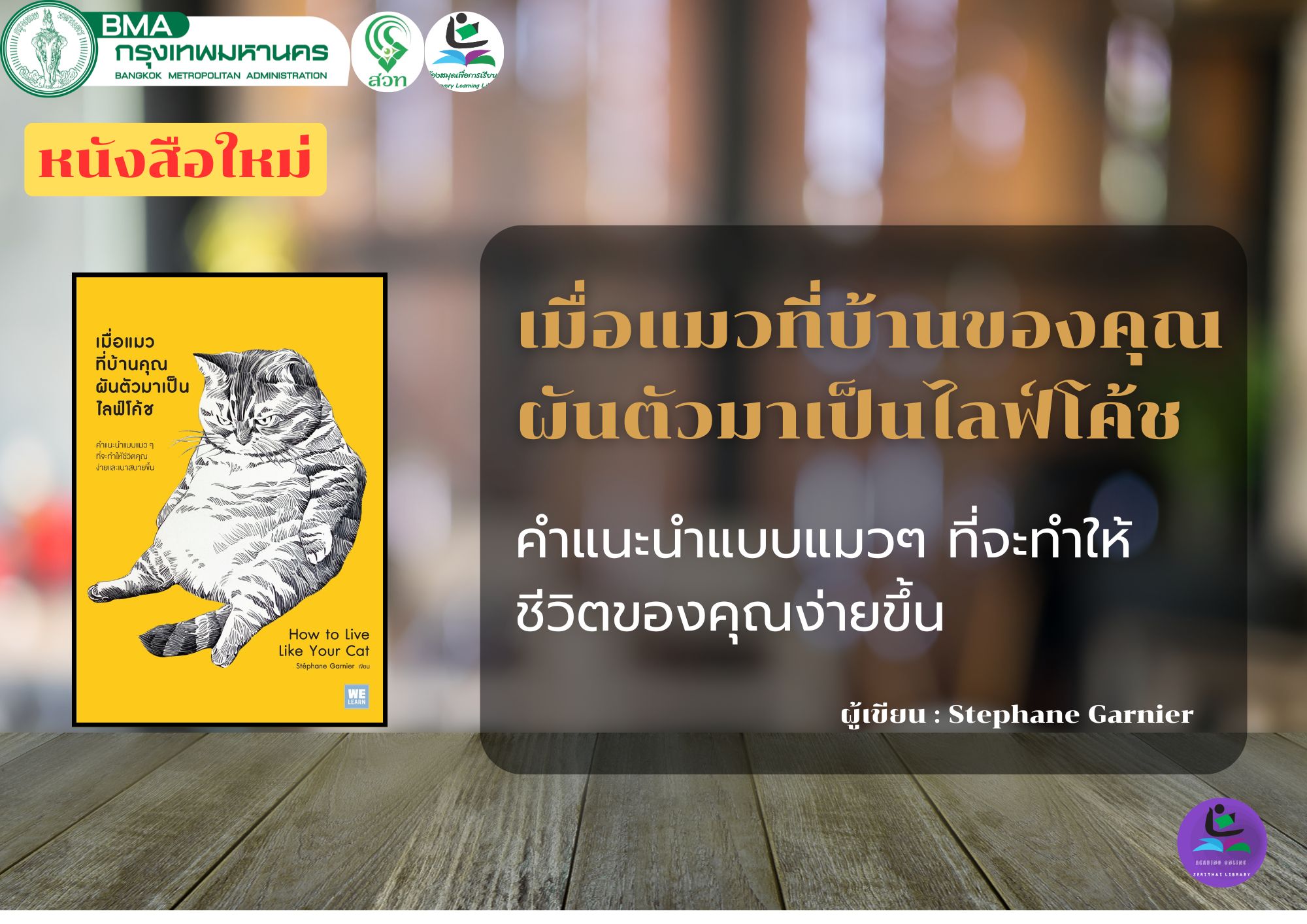 เมื่อแมวที่บ้านคุณผันตัวมาเป็นไลฟ์โค้ช