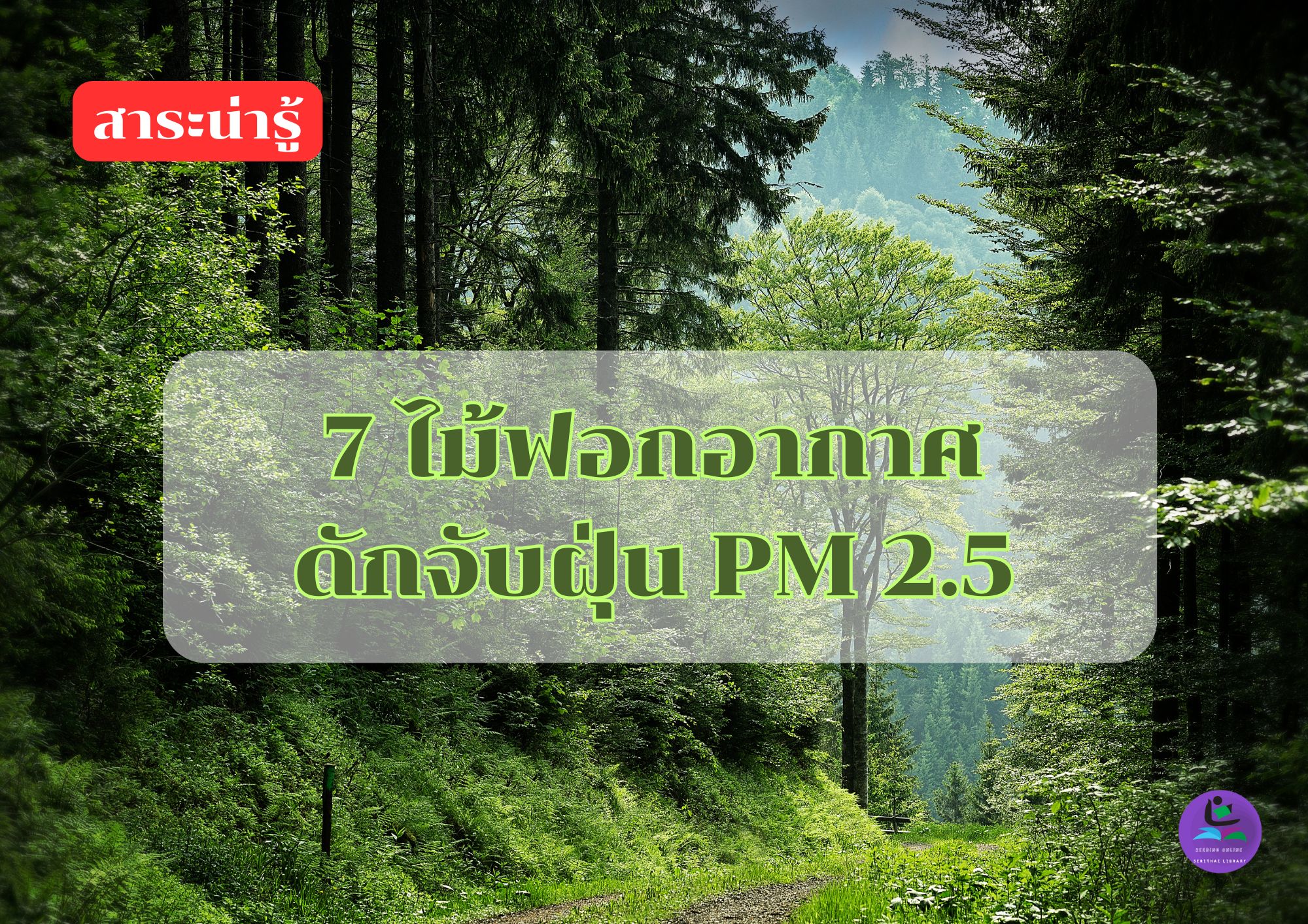 7 ไม้ฟอกอากาศ ดักจับฝุ่น PM2.5