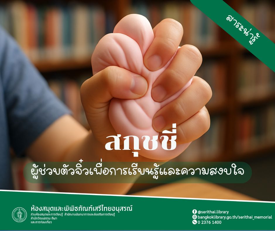  สกุชชี่ & ของเล่นนุ่ม ๆ คลายเครียด: ผู้ช่วยตัวจิ๋วเพื่อการเรียนรู้และความสงบใจ
