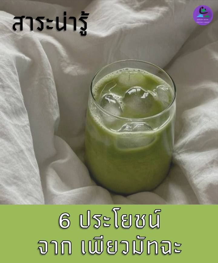 เพียวมัทฉะ Pure Matcha