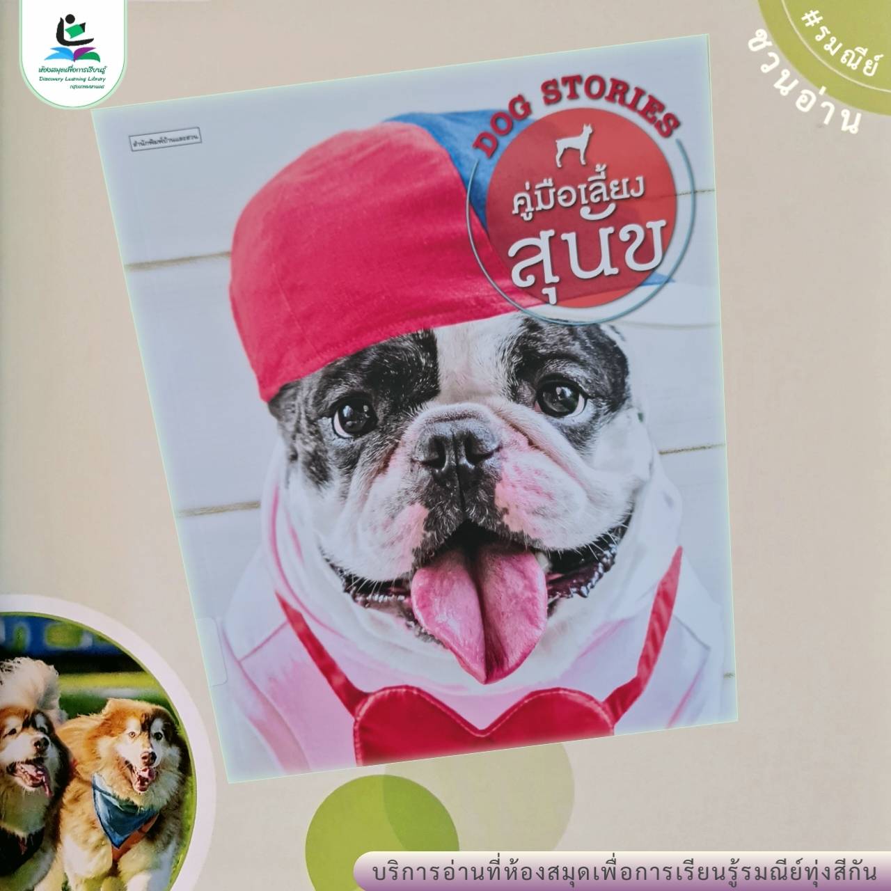 คู่มือเลี้ยงสุนัข DOG STORIES