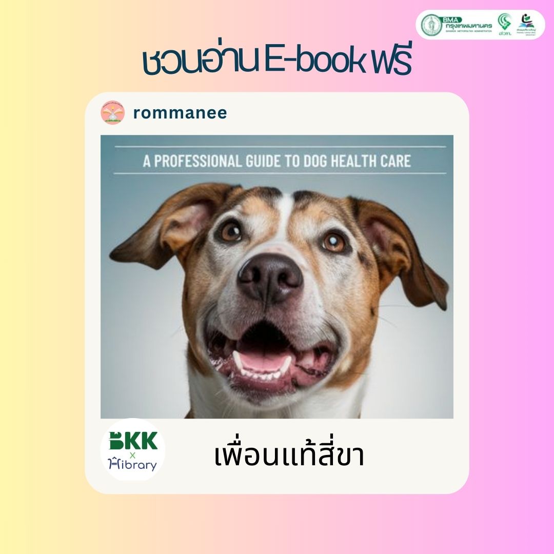 เพื่อนแท้สี่ขา