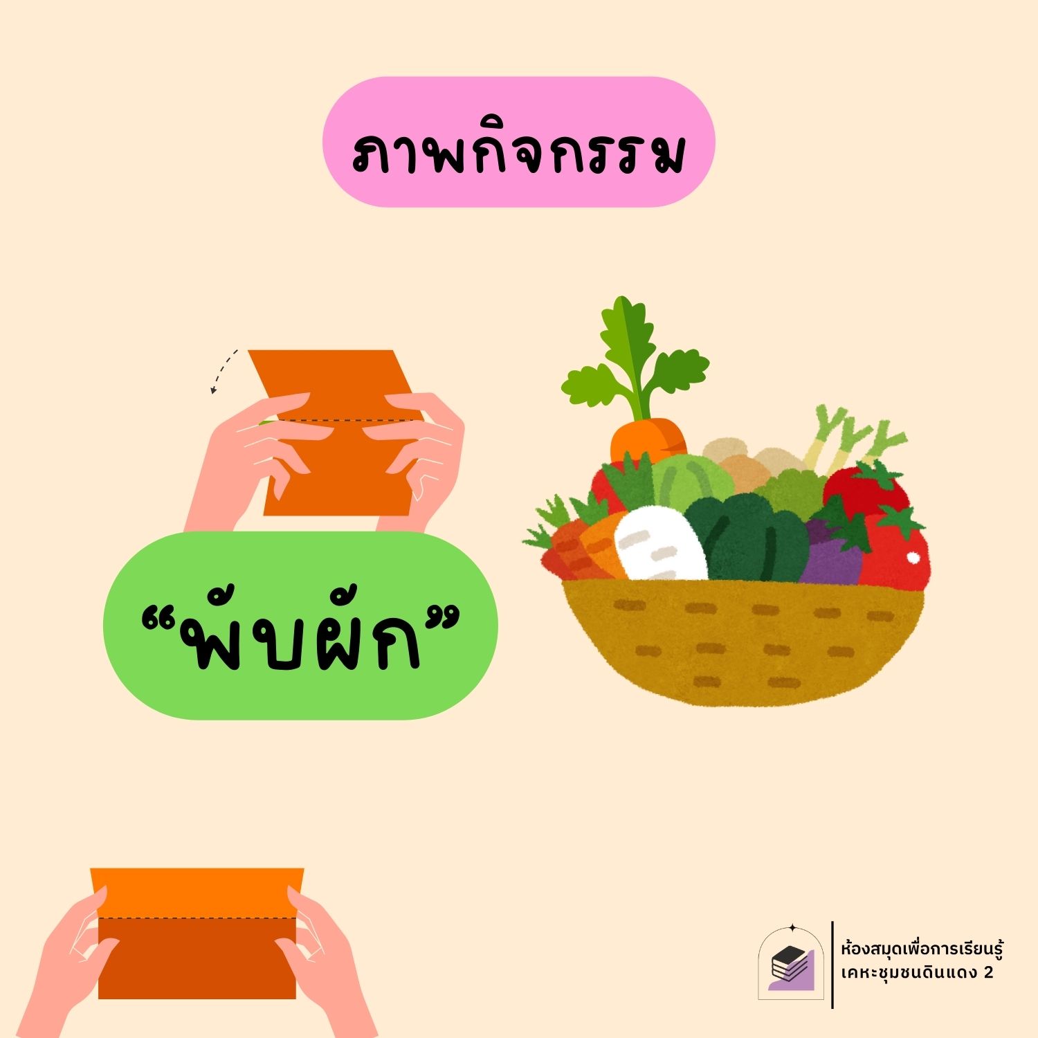 พับผัก