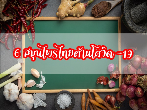 แนะนำ 6 สมุนไพรไทยต้านโควิด 19