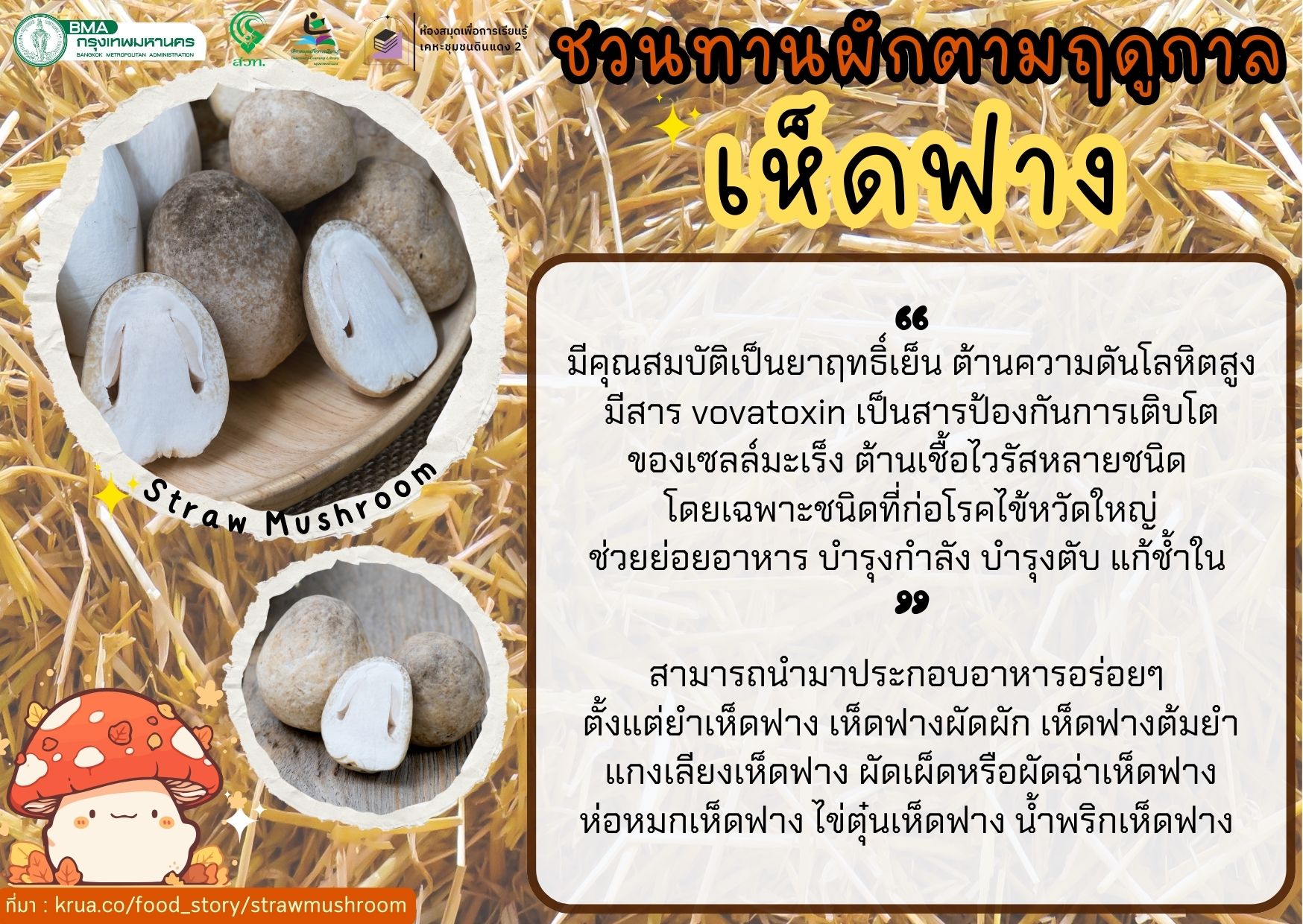 เห็ดฟาง