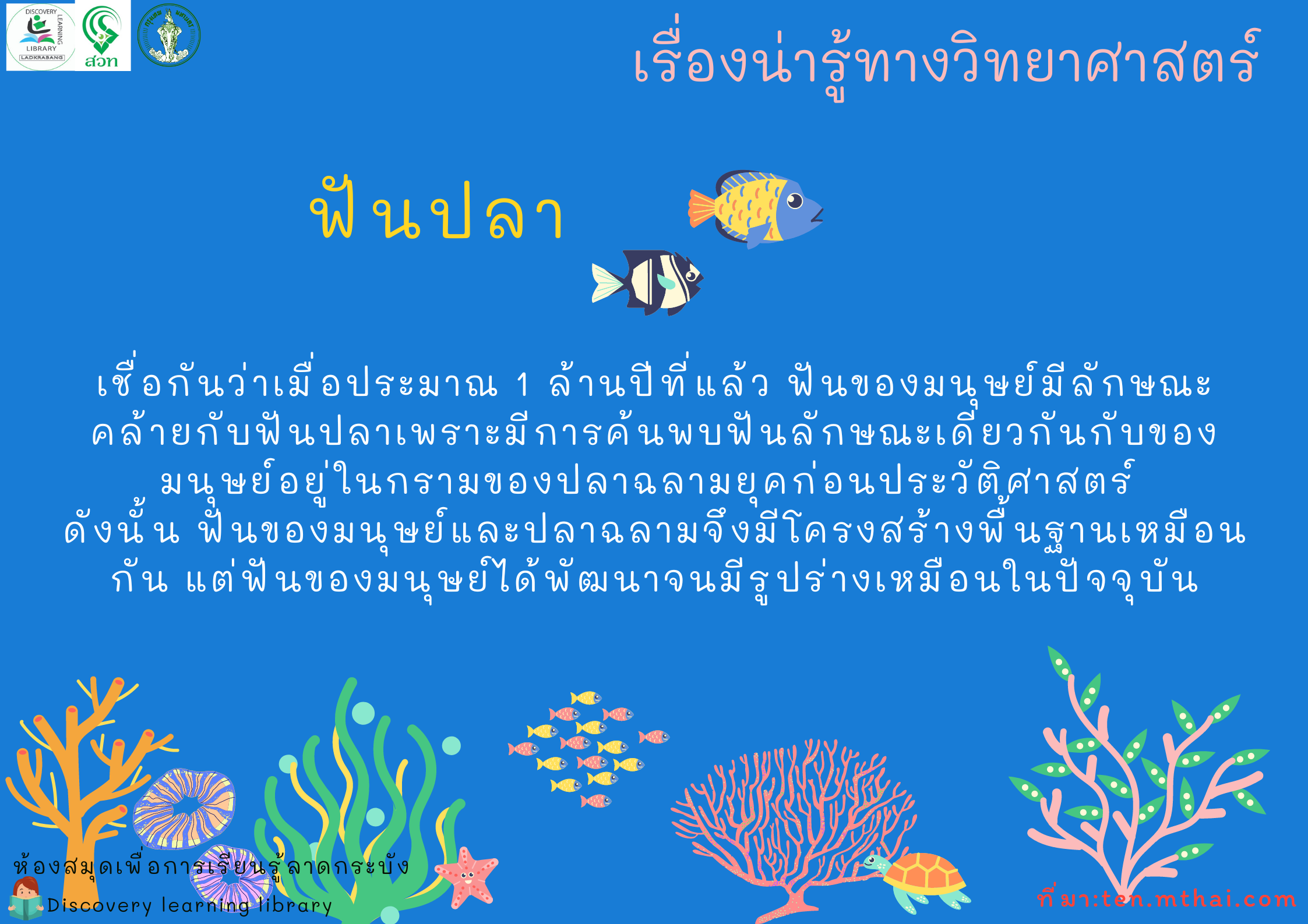 ฟันปลา