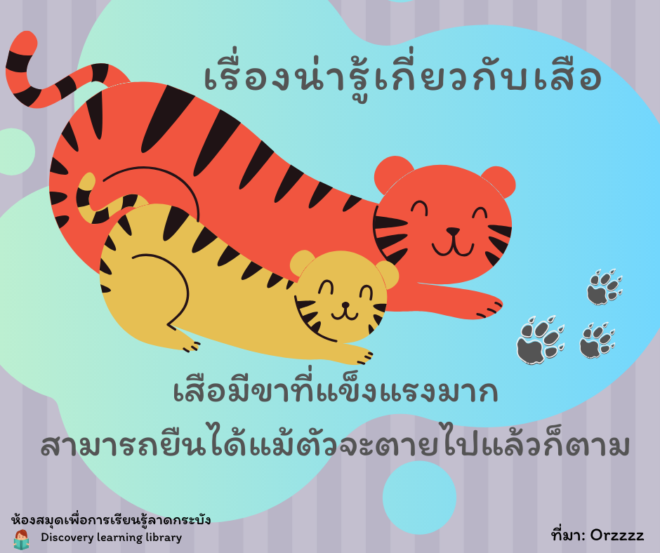 เรื่องน่ารู้เกี่ยวกับเสือ