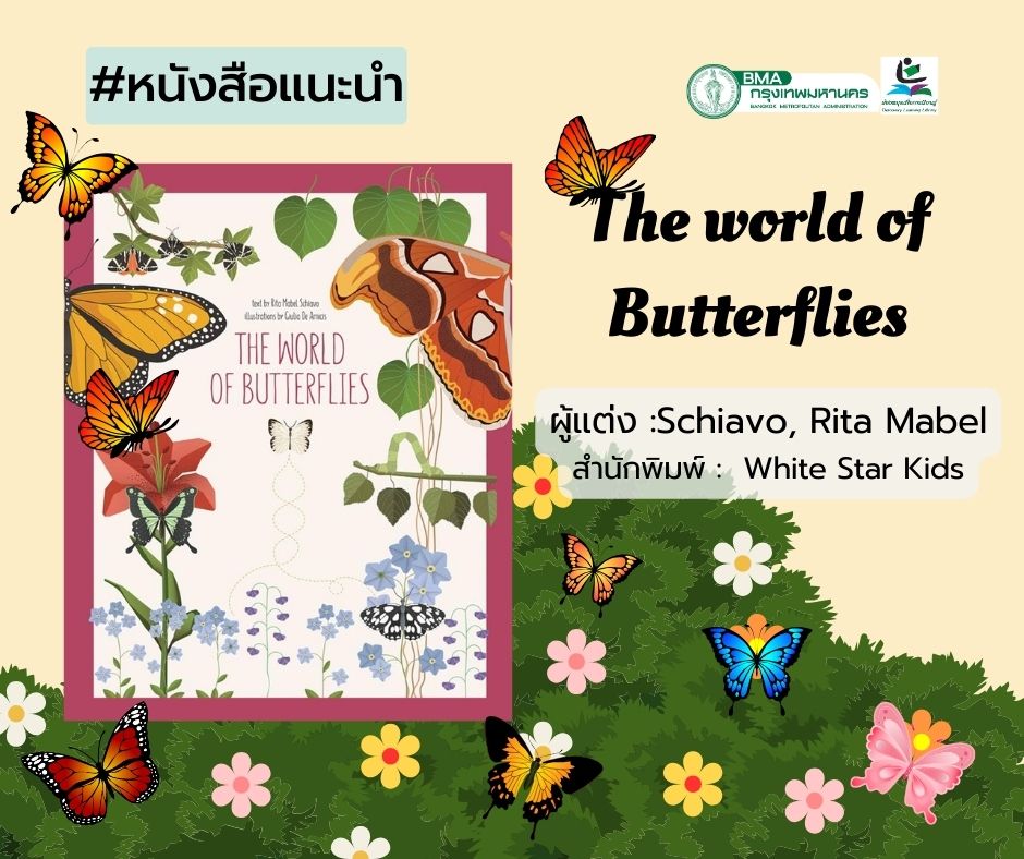 The world of Butterflies