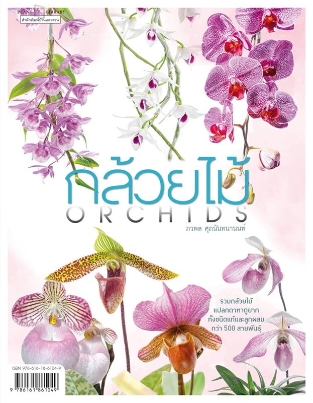 กล้วยไม้ : Orchids