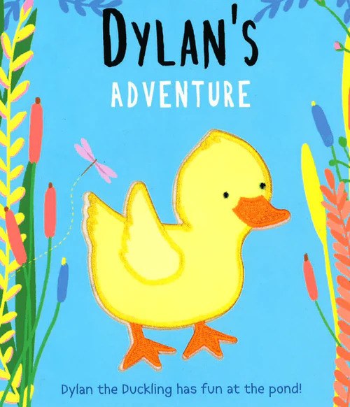 Dylan's Adventure