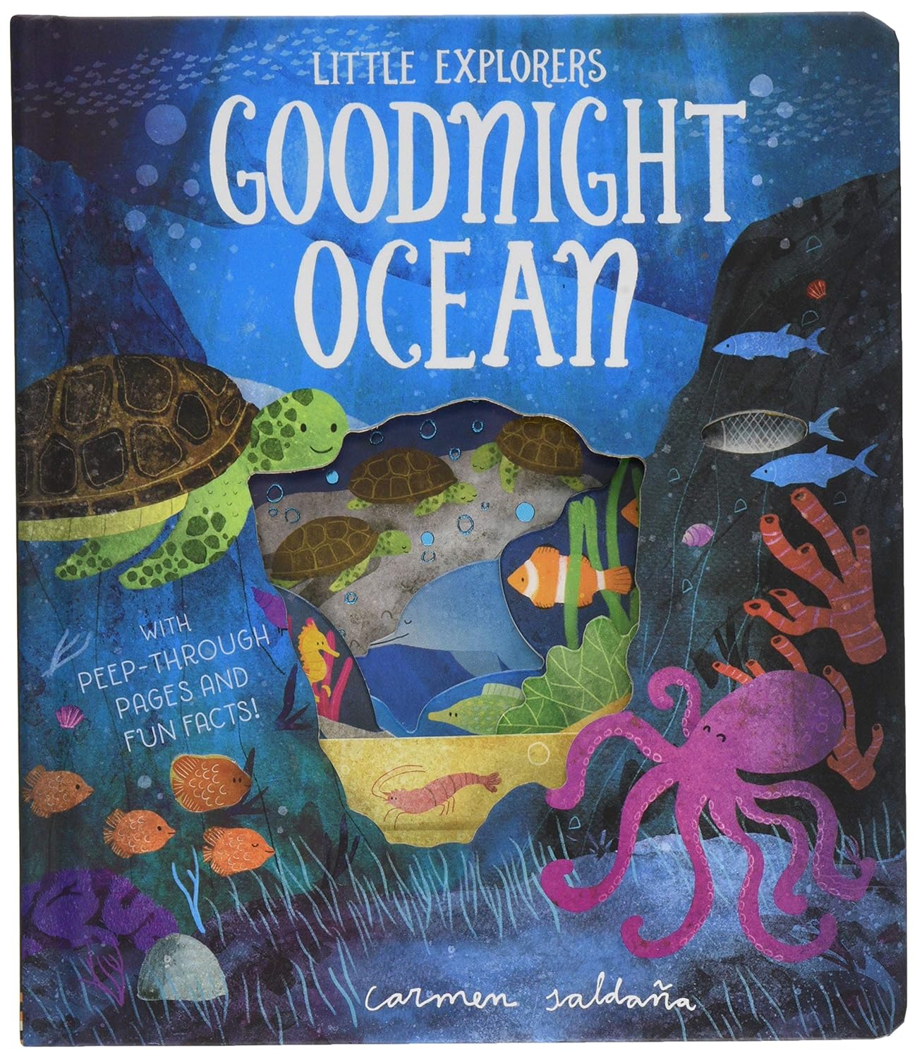 Goodnight Ocean (Little Explorers)