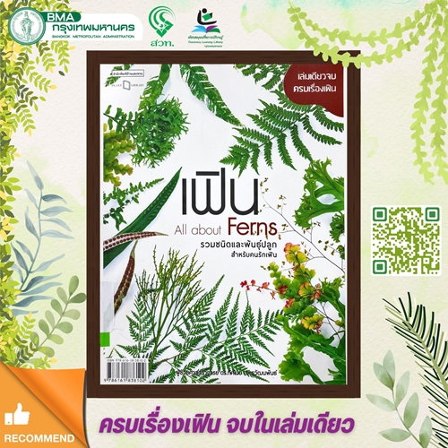 เฟิน All about Ferns รวมชนิดและพันธุ์ปลูกสำหรับคนรักเฟิน