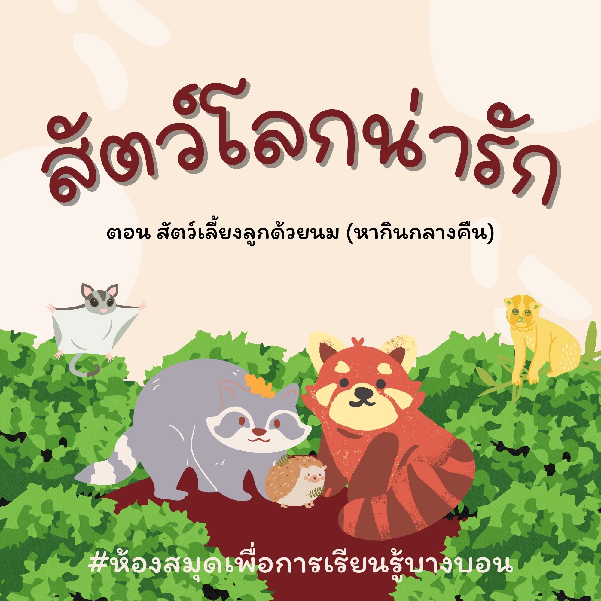 สัตว์โลกน่ารัก