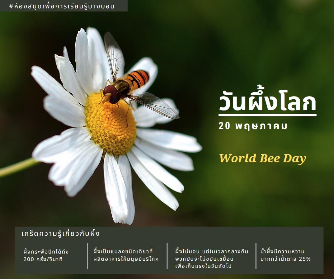 20 พฤษภาคม วันผึ้งโลก World Bee Day 