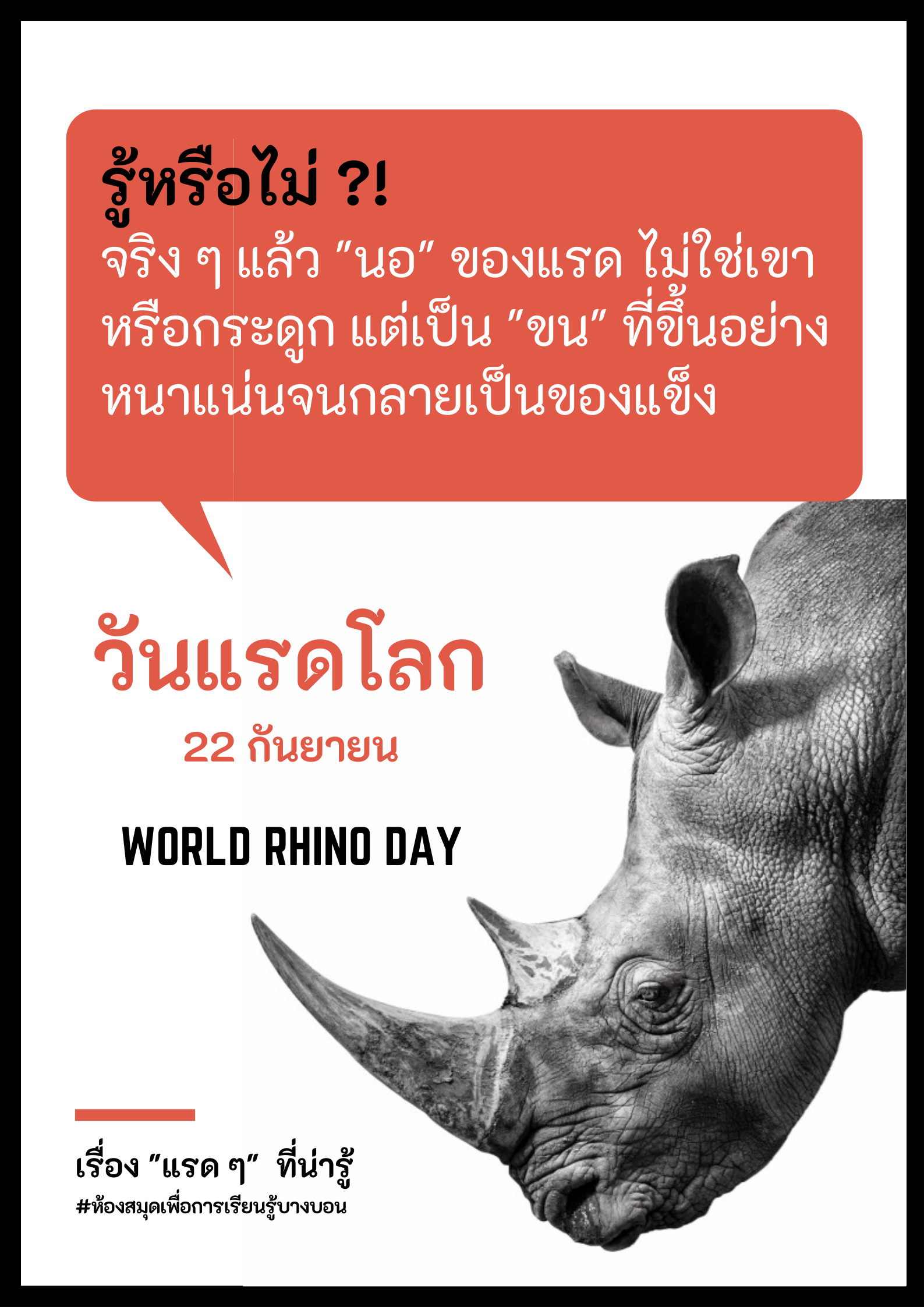 วันอนุรักษ์แรดโลก World Rhino Day