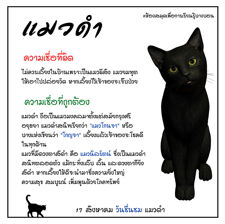 17 สิงหาคม วันชื่นชมแมวดำ