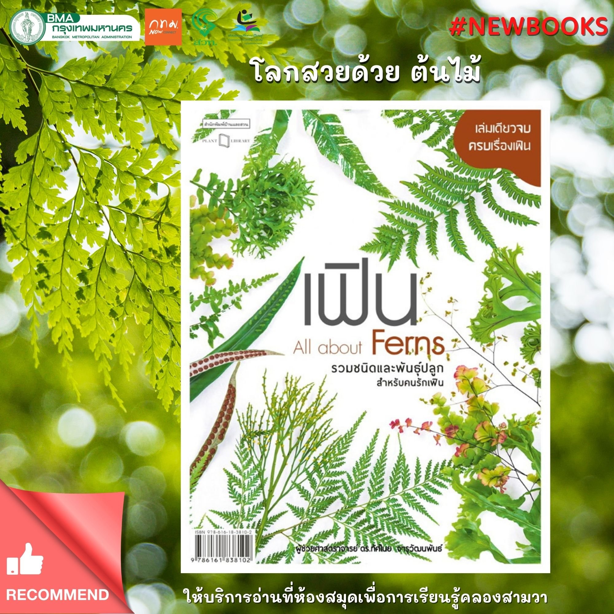 เฟิน All about Ferns รวมชนิดและพันธุ์ปลูก