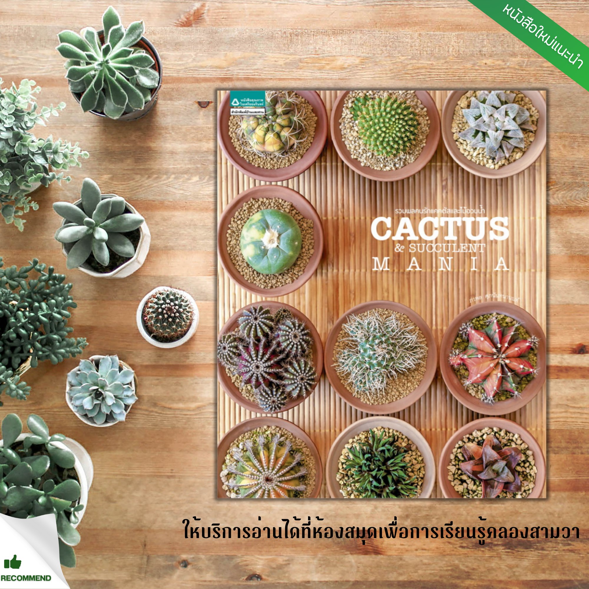 รวมพลคนรักแคคตัสและไม้อวบน้ำ Cactus And Succulent Mania (ใหม่)