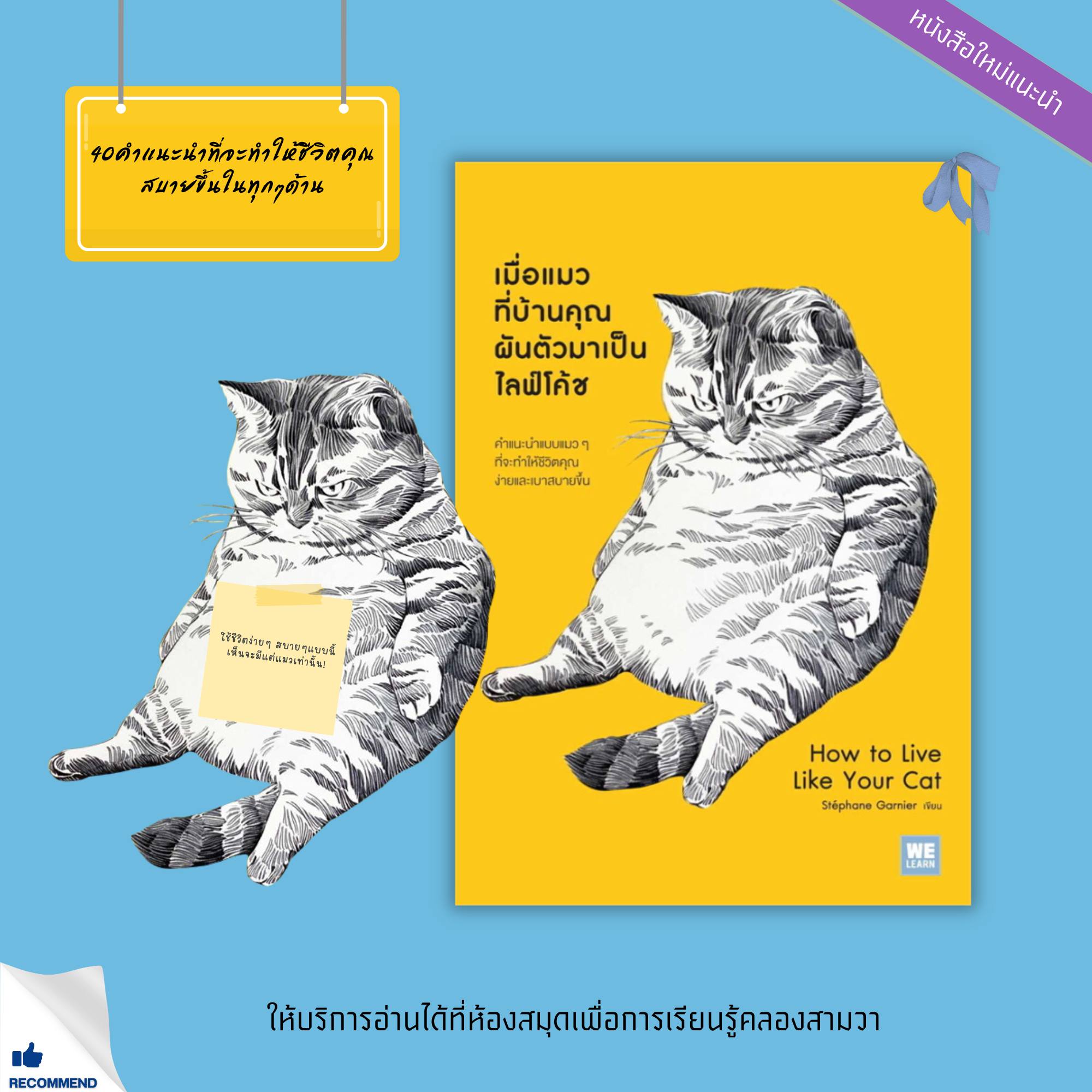 เมื่อแมวที่บ้านคุณผันตัวเองมาเป็นไลฟ์โค้ช