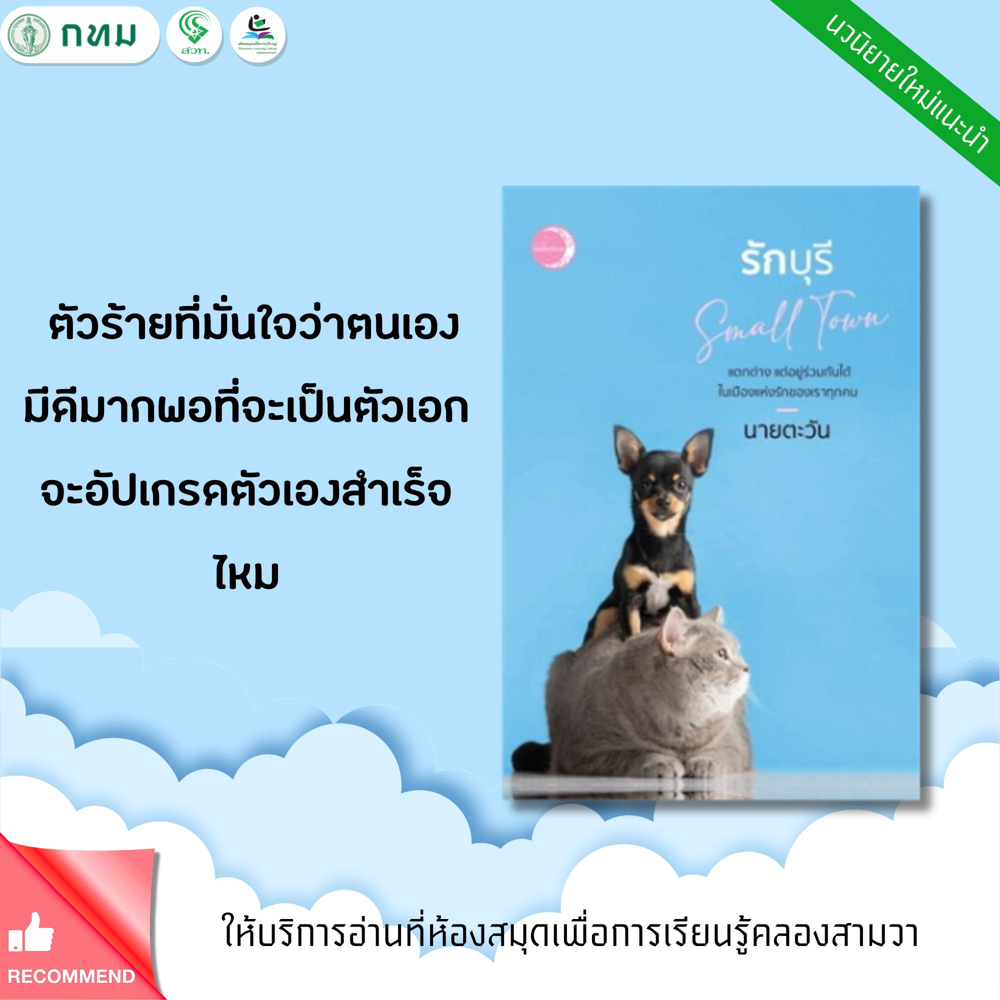 รักบุรี Small Town