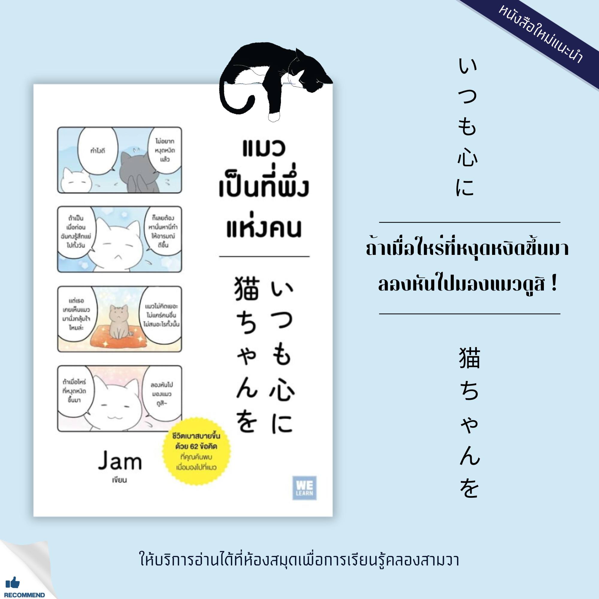 แมวเป็นที่พึ่งแห่งคน
