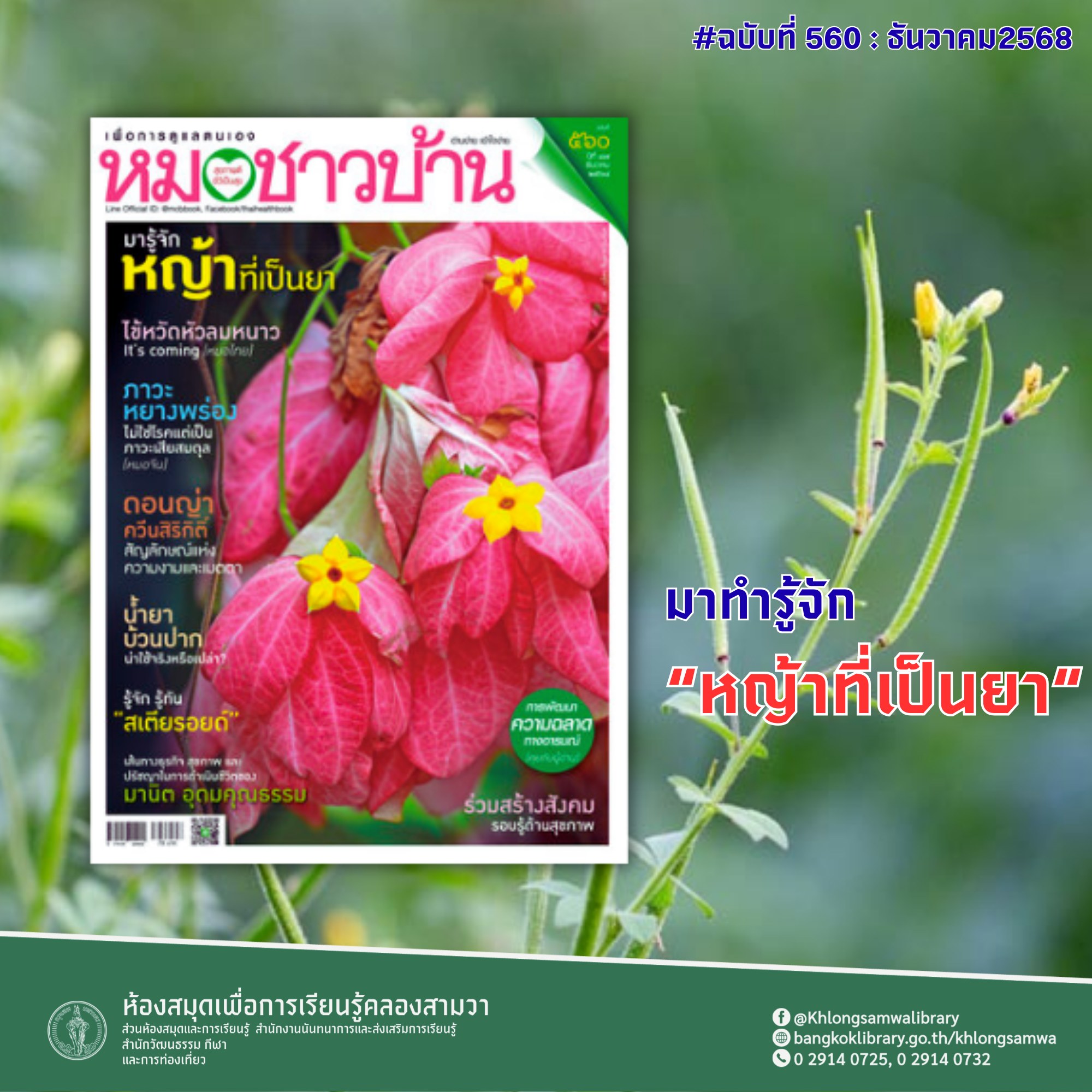 หมอชาวบ้าน ฉบับที่ 560 : ธันวาคม 2568