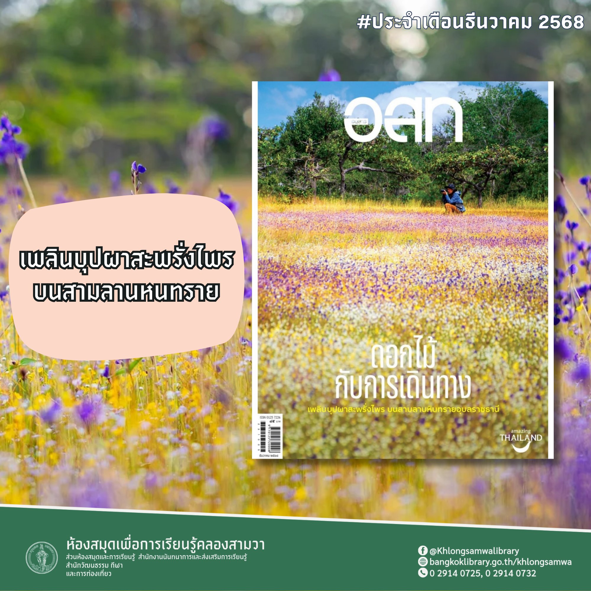 อสท ประจำเดือนพฤศจิกายน 2568