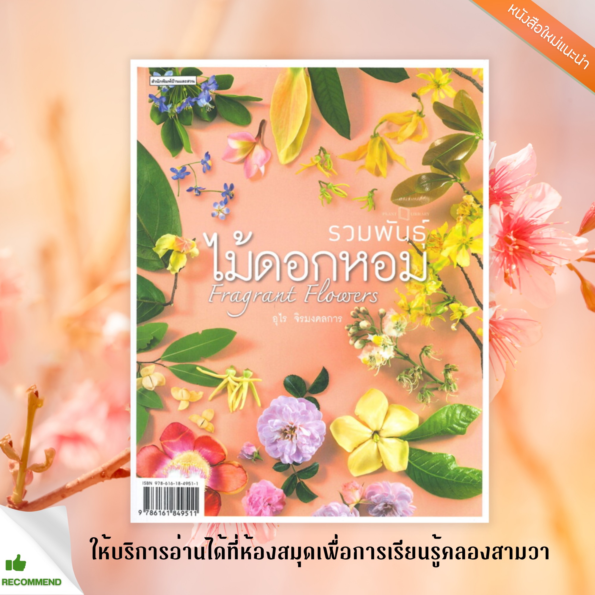 รวมพันธุ์ไม้ดอกหอม : Fragrant Flowers