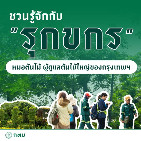 ชวนรู้จักกับ “รุกขกร” หมอต้นไม้ ผู้ดูแลต้นไม้ใหญ่ของกรุงเทพฯ
