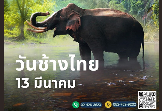 13 มีนาคม วันข้างไทย
