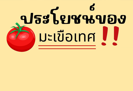 ประโยชน์ของมะเขือเทศ