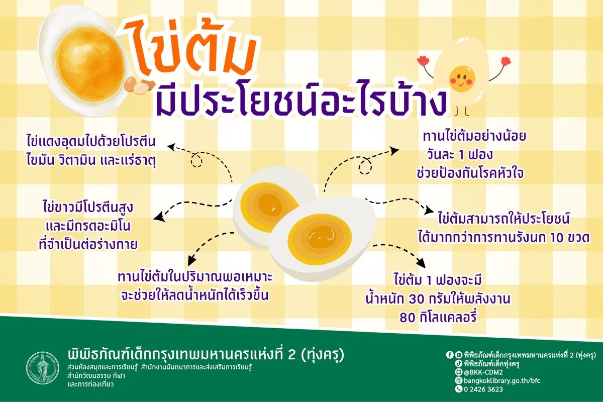 ไข่ต้มมีประโยชน์อะไรบ้าง